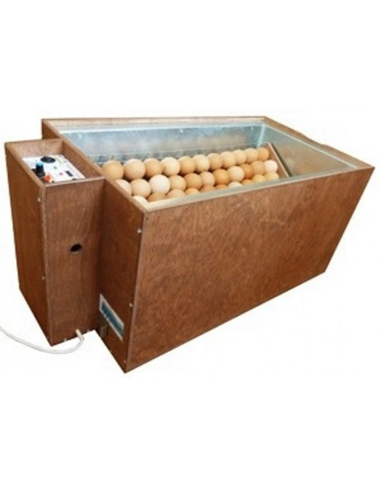 Инкубатор оренбург производитель. Инкубатор для яиц блиц 72. Инкубатор для яиц автоматический на 72 яйца. Инкубатор для яиц 72шт. Инкубатор для яиц автоматический блиц.